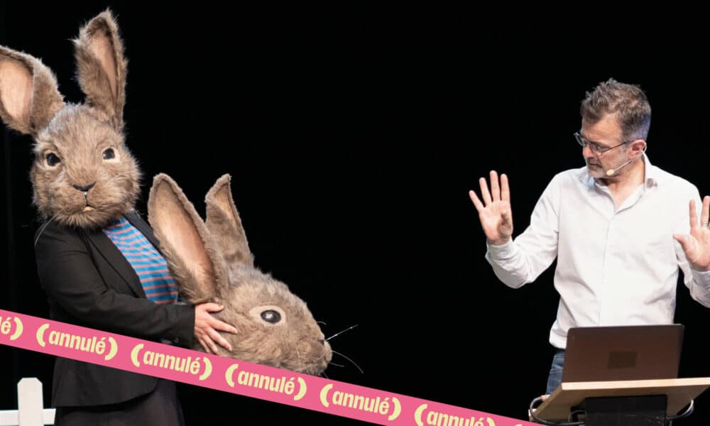 Annulé // Le problème lapin, cartographie 7